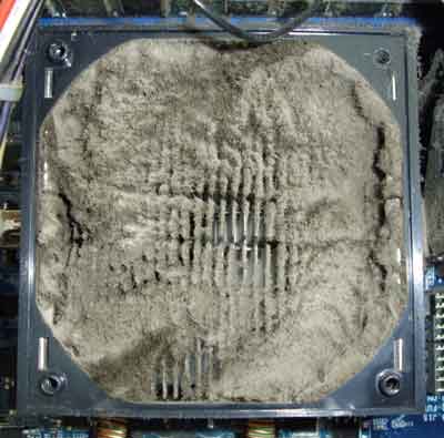 CPU fan and dust