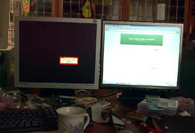 dual LCD monitor